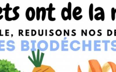 Tri à la source des biodéchets - subvention Tri à la source des biodéchets - subvention